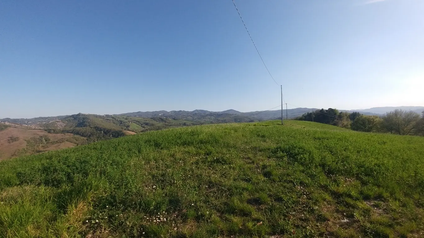 Immagine per Terreno in vendita a Monte San Pietro via Castello 45