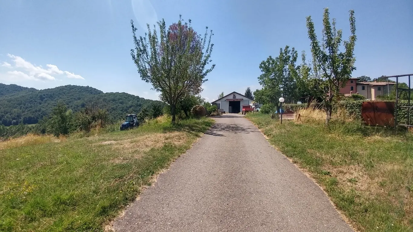 Immagine per Casale in vendita a Zocca via Vignolese 1534