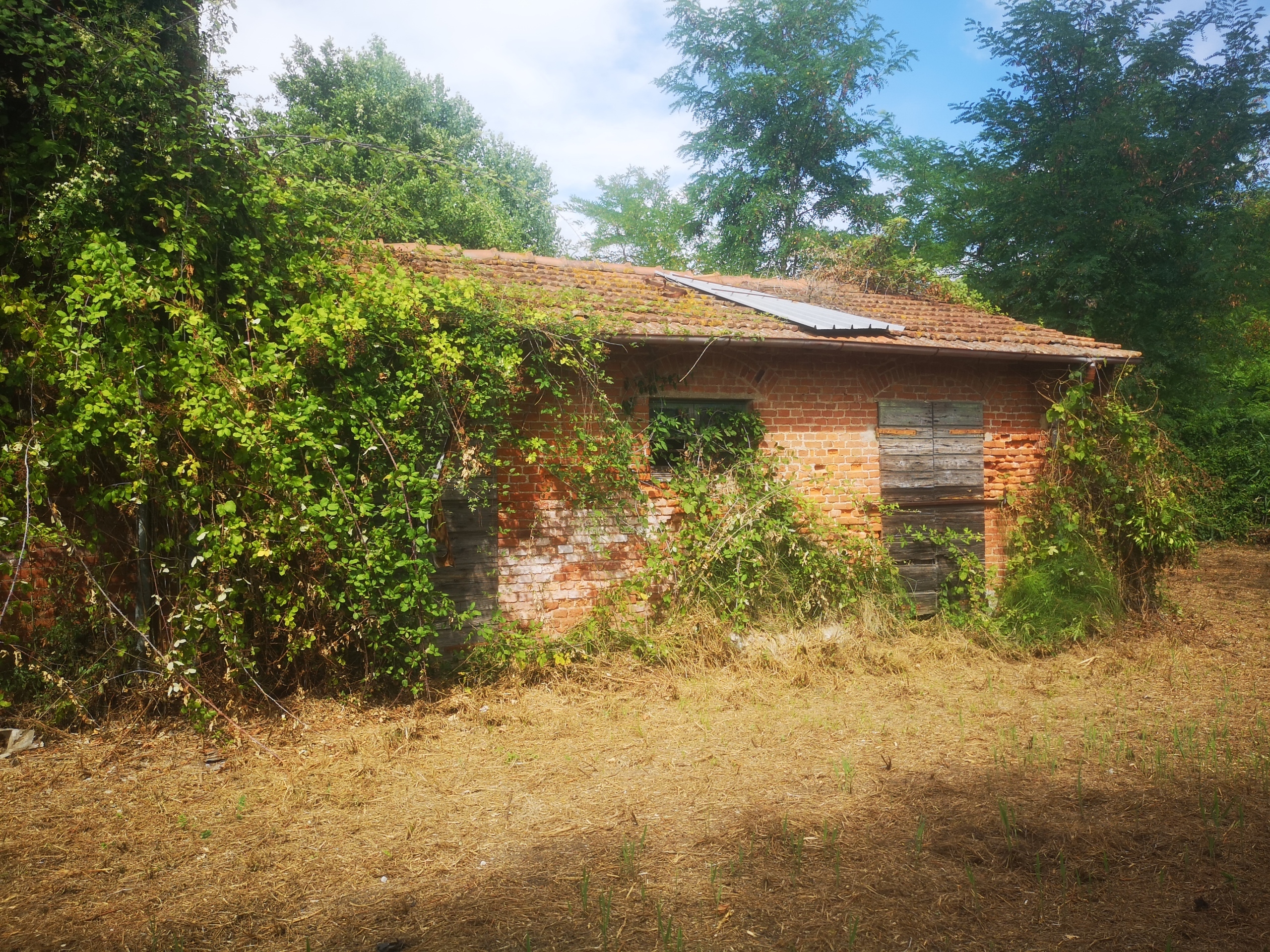Immagine per Casale in vendita a Castelnuovo Magra via Tavolara 59