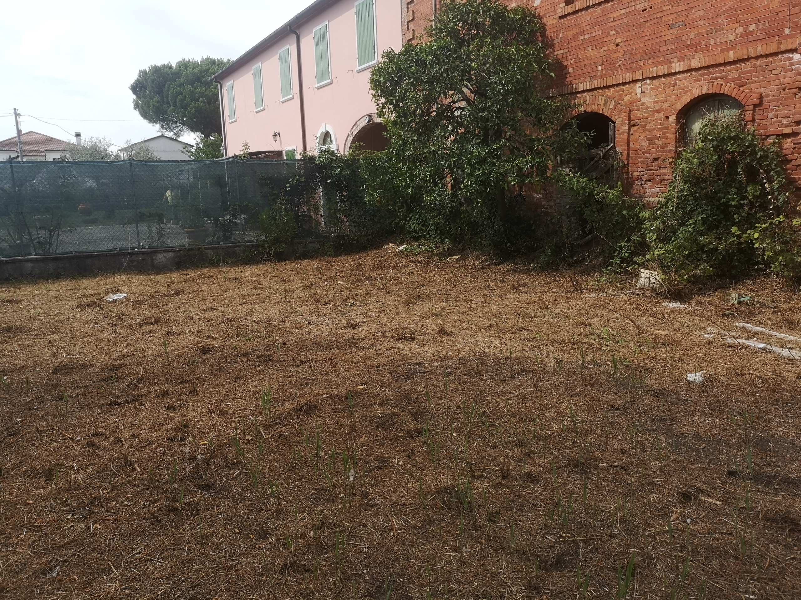 Immagine per Casale in vendita a Castelnuovo Magra via Tavolara 59
