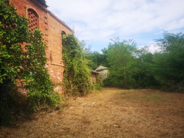 Immagine per Casale in vendita a Castelnuovo Magra via Tavolara 59