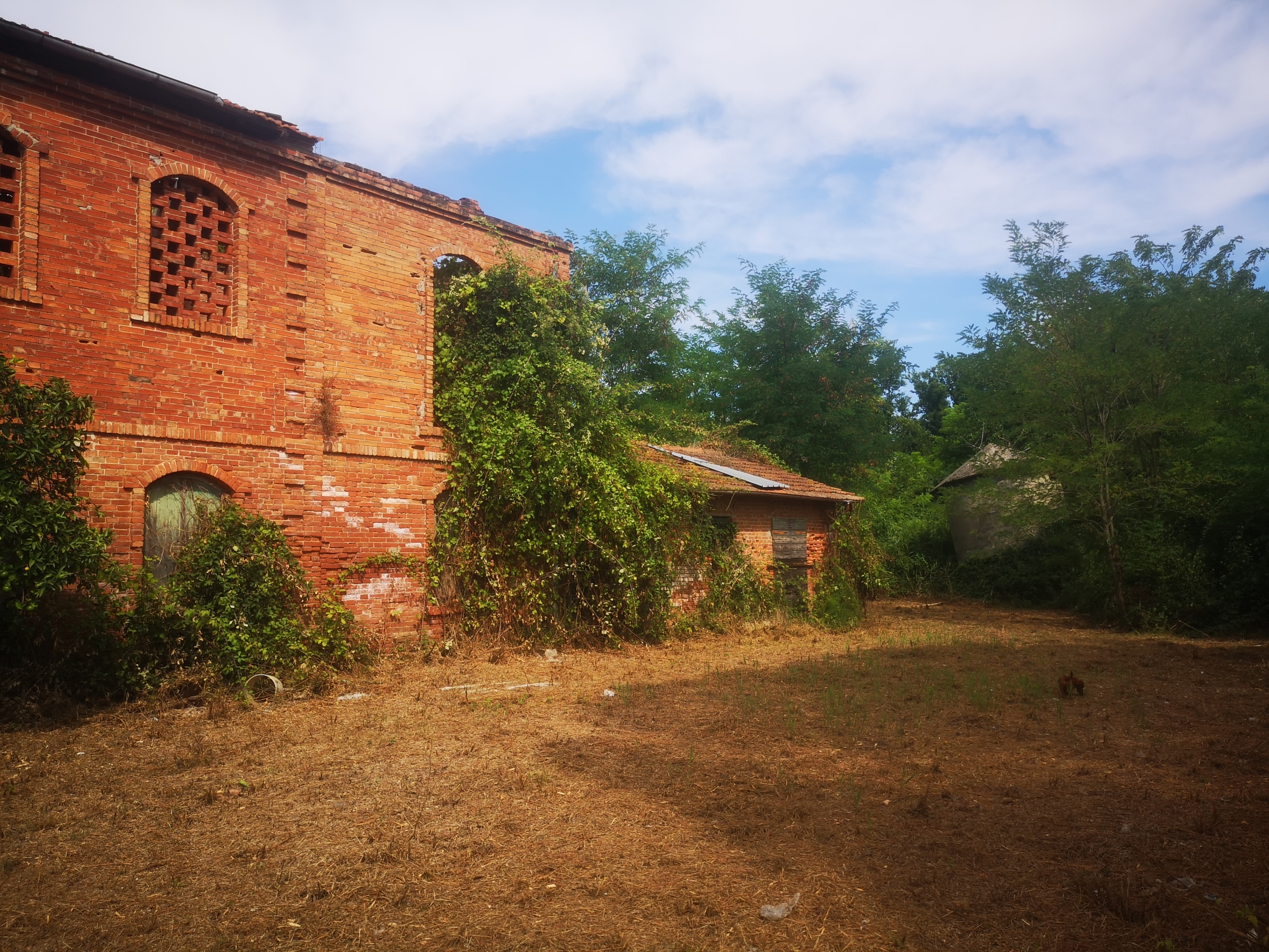 Immagine per Casale in vendita a Castelnuovo Magra via Tavolara 59