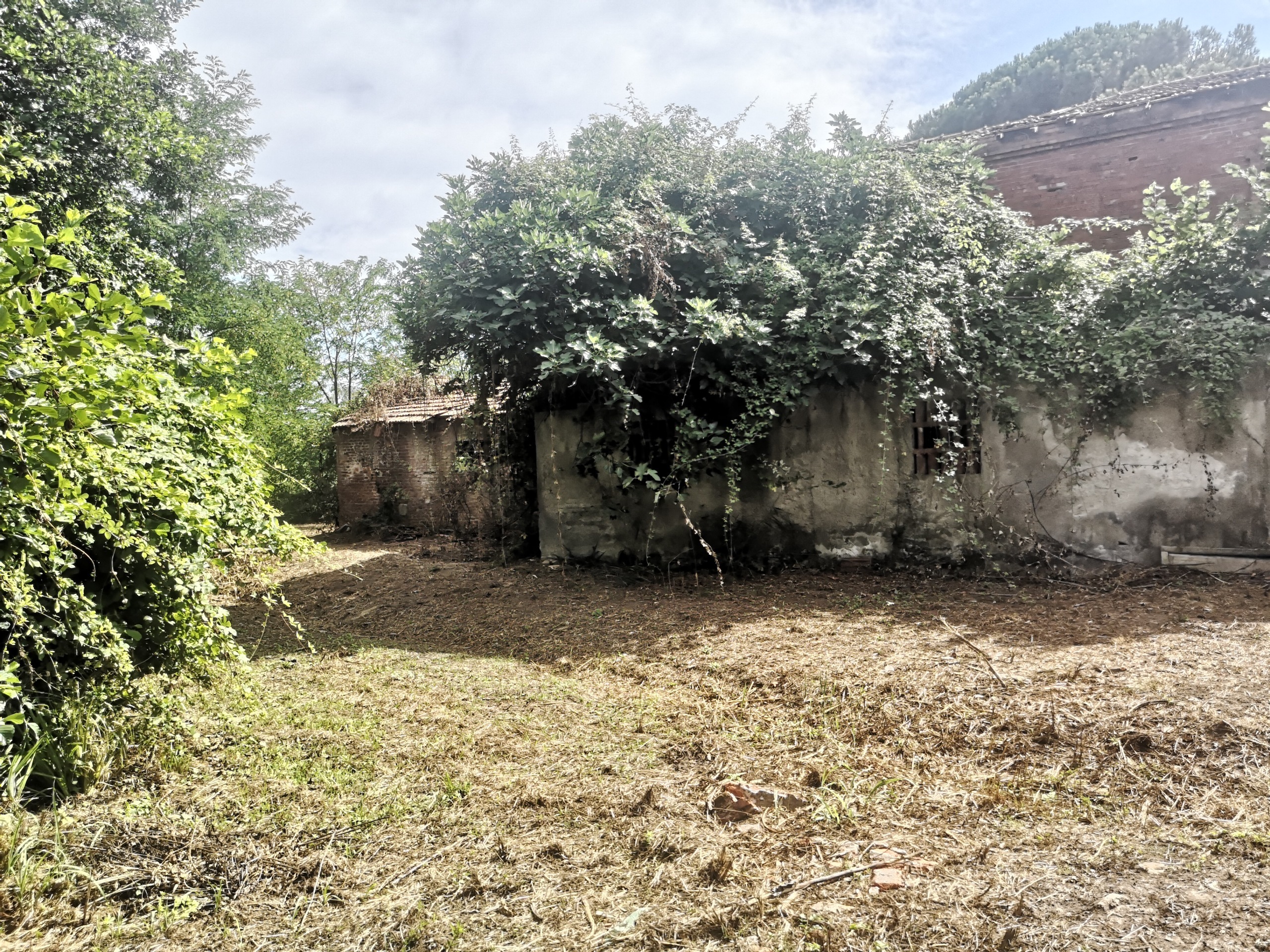 Immagine per Casale in vendita a Castelnuovo Magra via Tavolara 59