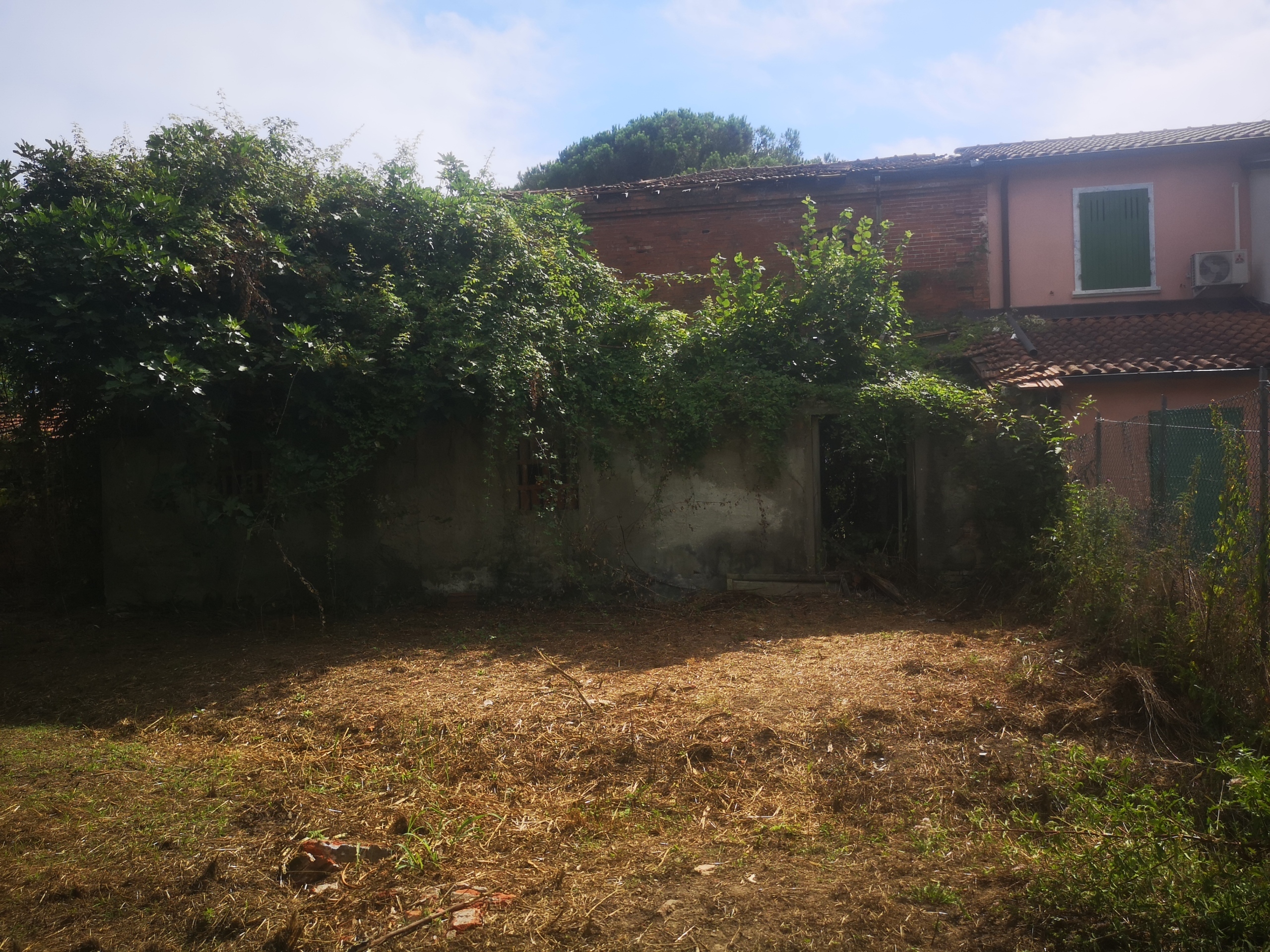 Immagine per Casale in vendita a Castelnuovo Magra via Tavolara 59