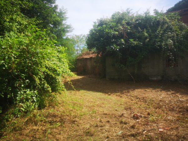 Immagine per Casale in vendita a Castelnuovo Magra via Tavolara 59