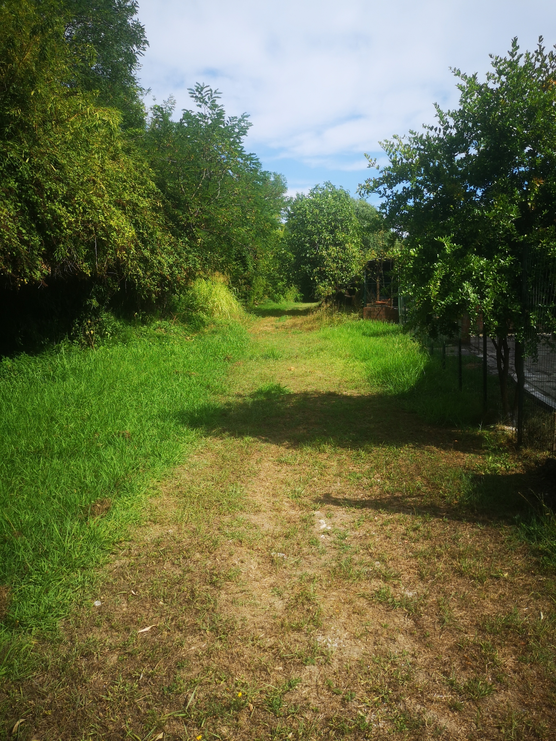 Immagine per Casale in vendita a Castelnuovo Magra via Tavolara 59