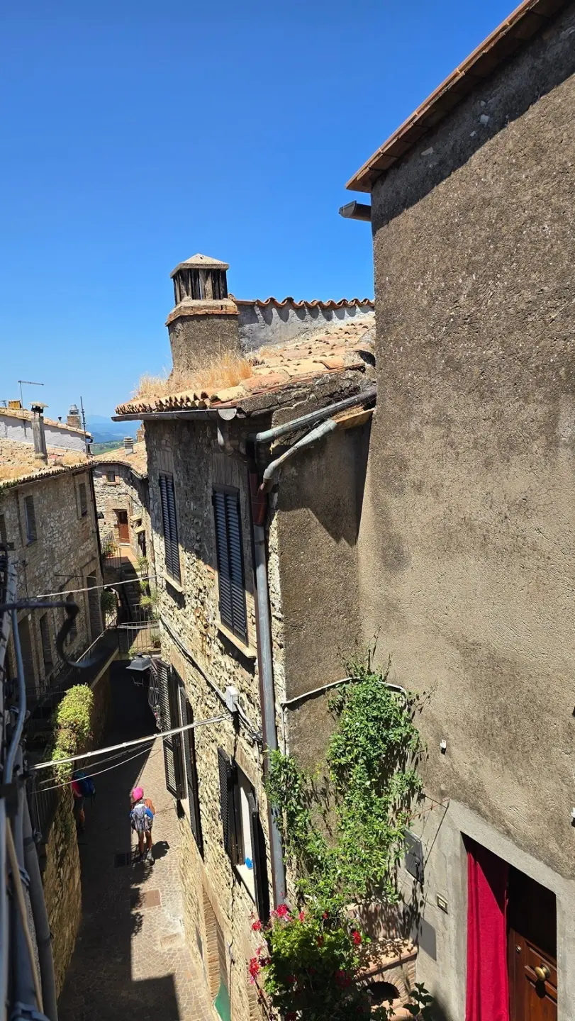 Immagine per Terratetto in vendita a Montecchio via Della Chiesa 18
