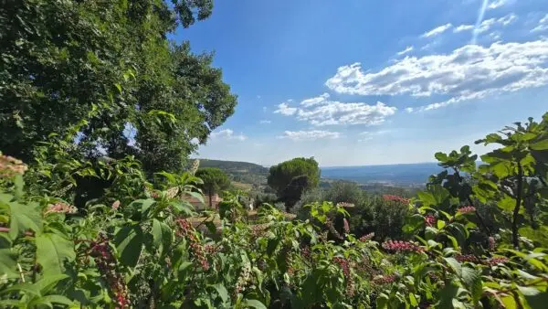 Trilocale via Delle Mimose 37, Montecchio
