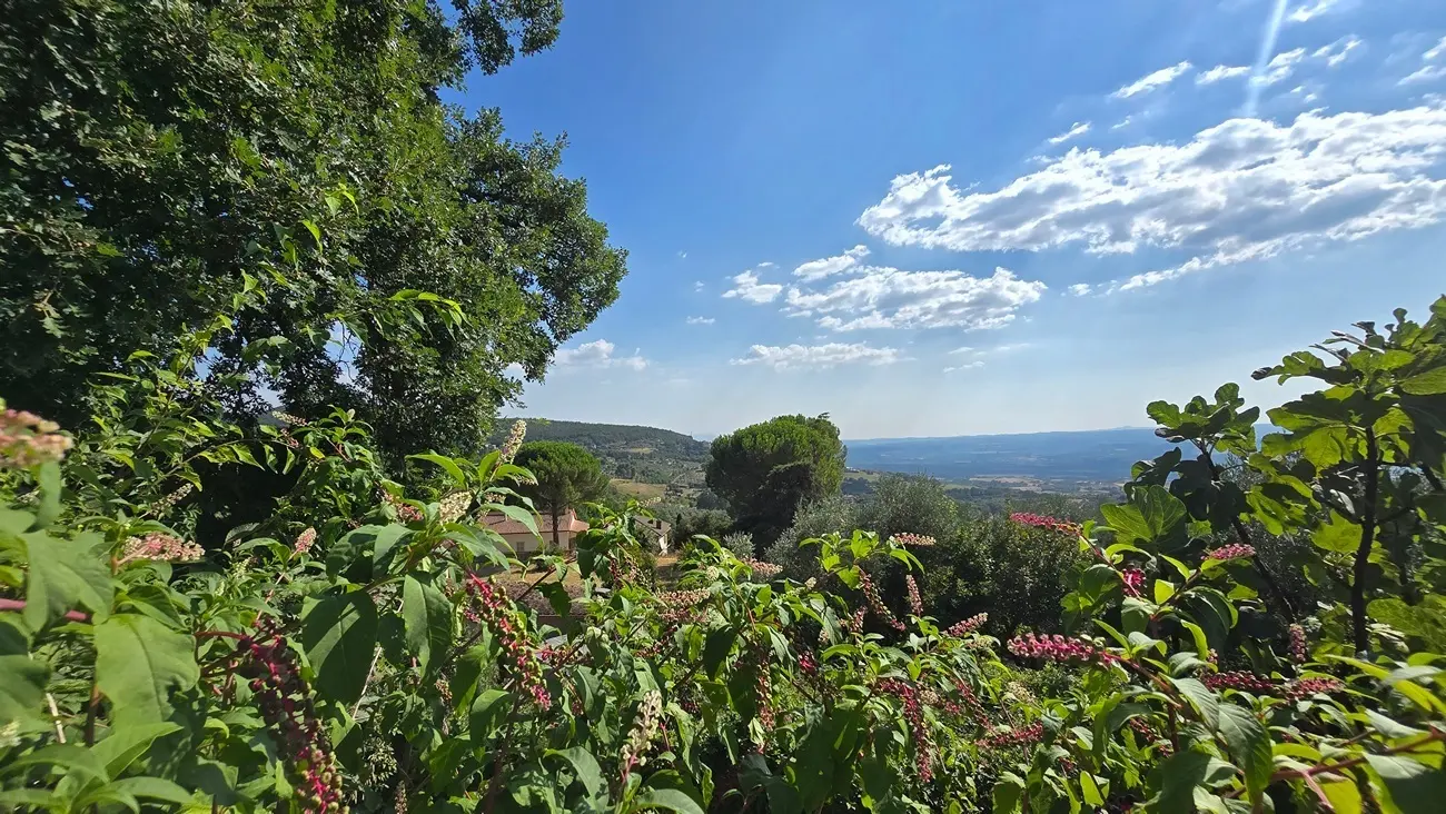 Immagine per Trilocale in vendita a Montecchio via Delle Mimose 37