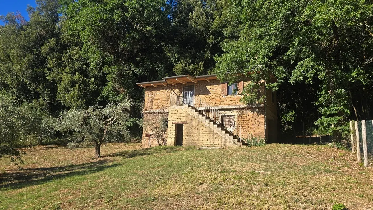 Immagine per Rustico in vendita a Lugnano in Teverina via Vocabolo Vallenera 24