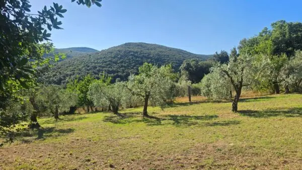 Rustico via Vocabolo Vallenera 24, Lugnano In Teverina