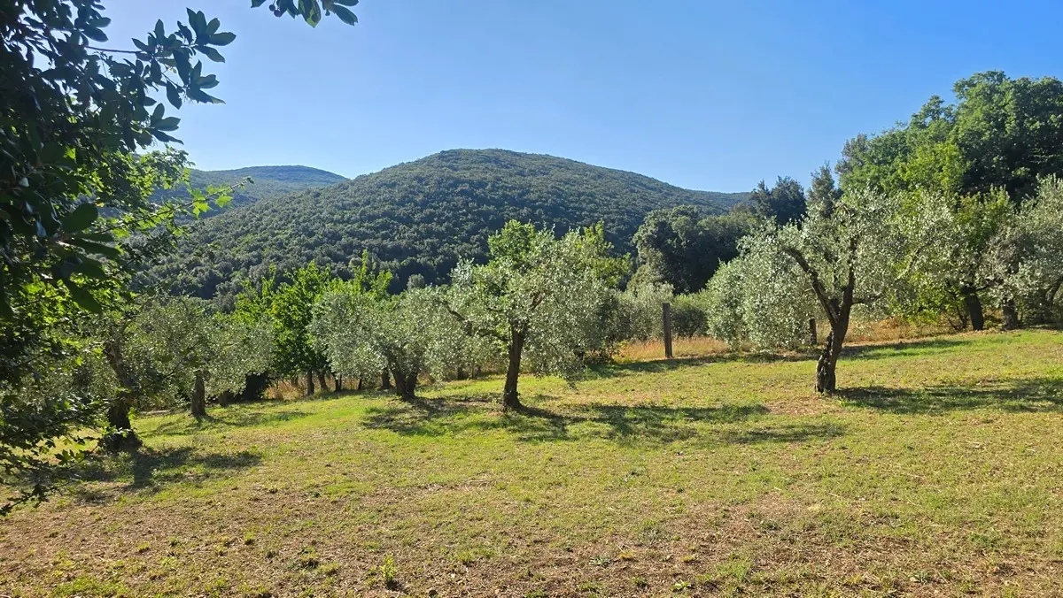 Immagine per Rustico in vendita a Lugnano in Teverina via Vocabolo Vallenera 24