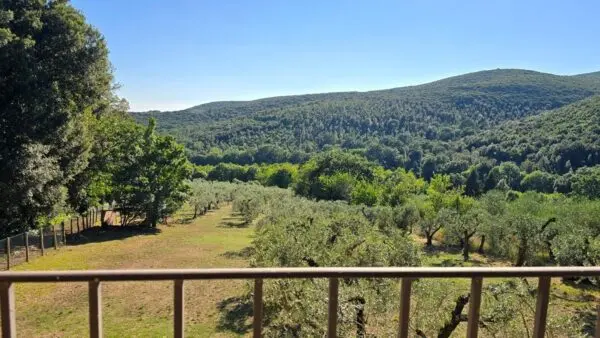 Rustico via Vocabolo Vallenera 24, Lugnano In Teverina