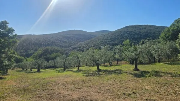 Rustico via Vocabolo Vallenera 24, Lugnano In Teverina