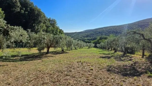 Rustico via Vocabolo Vallenera 24, Lugnano In Teverina