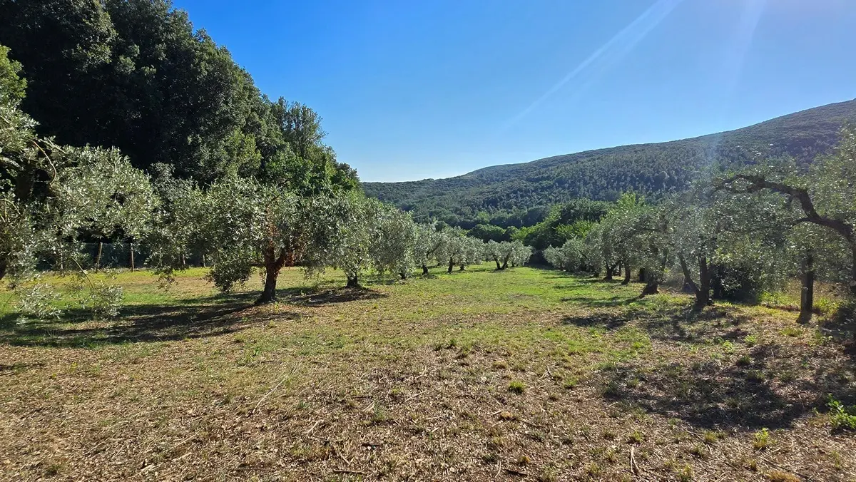 Immagine per Rustico in vendita a Lugnano in Teverina via Vocabolo Vallenera 24