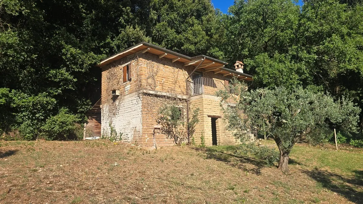 Immagine per Rustico in vendita a Lugnano in Teverina via Vocabolo Vallenera 24
