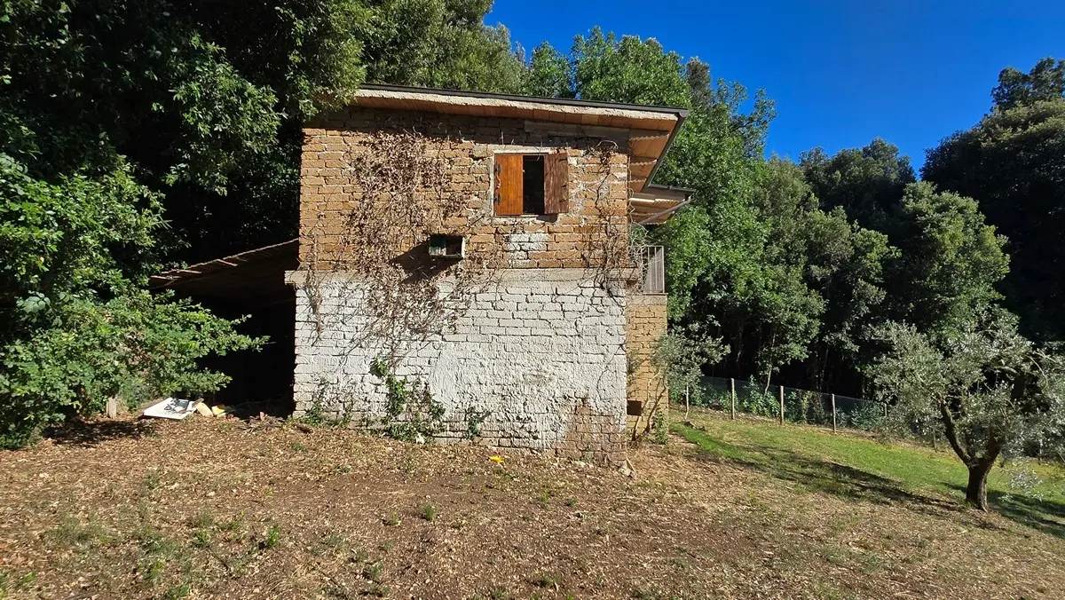 Immagine per Rustico in vendita a Lugnano in Teverina via Vocabolo Vallenera 24