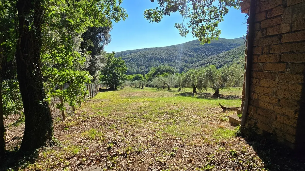 Immagine per Rustico in vendita a Lugnano in Teverina via Vocabolo Vallenera 24