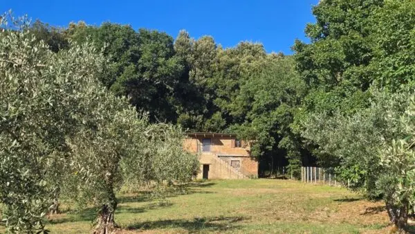 Rustico via Vocabolo Vallenera 24, Lugnano In Teverina