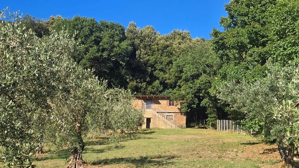 Immagine per Rustico in vendita a Lugnano in Teverina via Vocabolo Vallenera 24