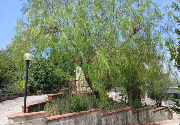 Villa via Roma, Amelia