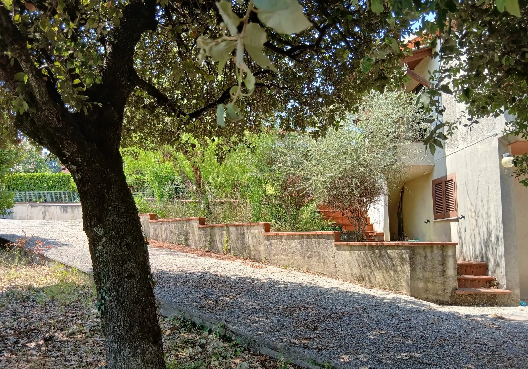 Immagine per Villa in vendita a Amelia via Roma