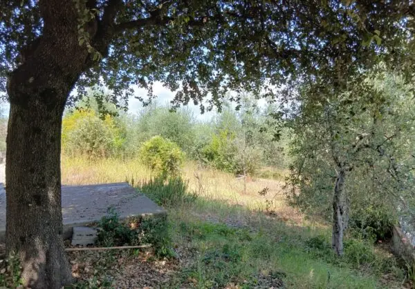 Villa via Roma, Amelia