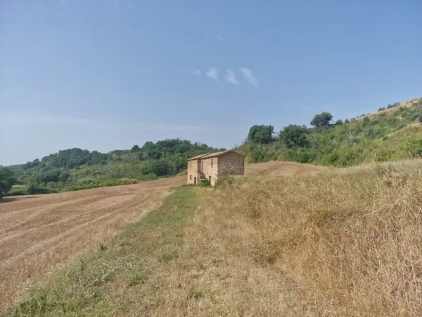 Rustico via Del Fossato, Guardea