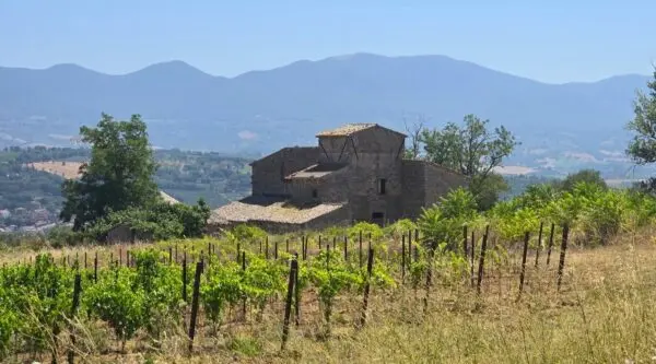 Casale via Località Tordimonte Snc, Orvieto