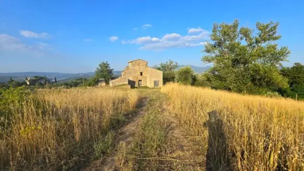 Casale via Località Tordimonte Snc, Orvieto