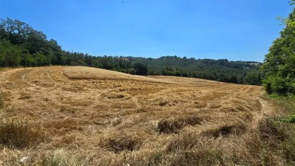 Casale via Vocabolo Caldognola 19, Nocera Umbra