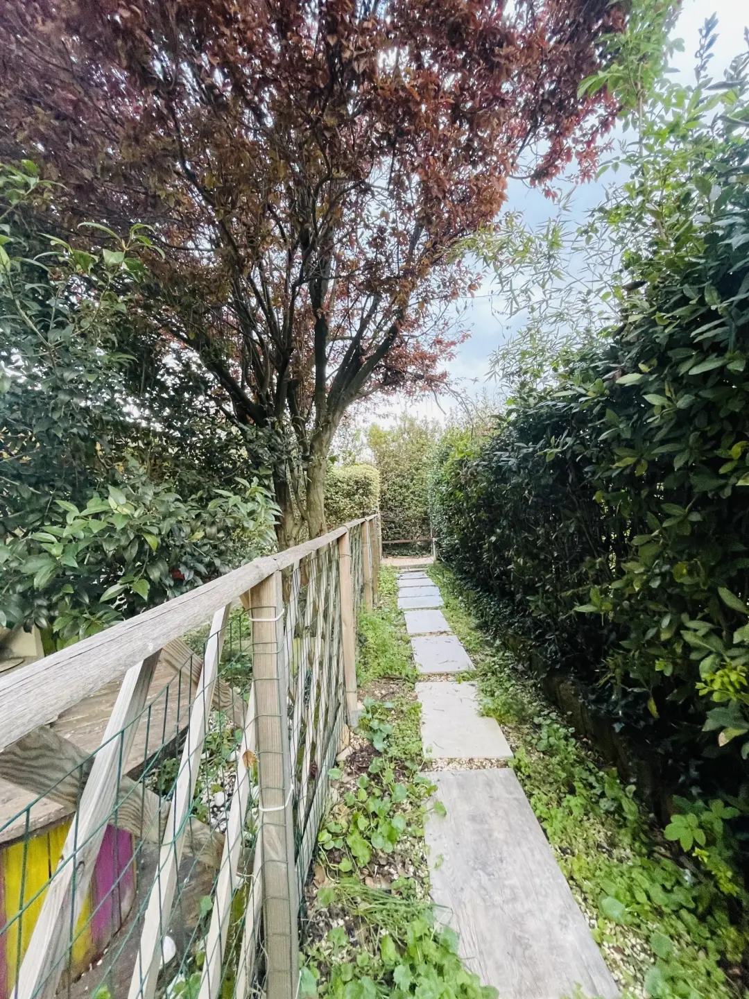 Immagine per Bilocale in affitto a Ancona via Candia