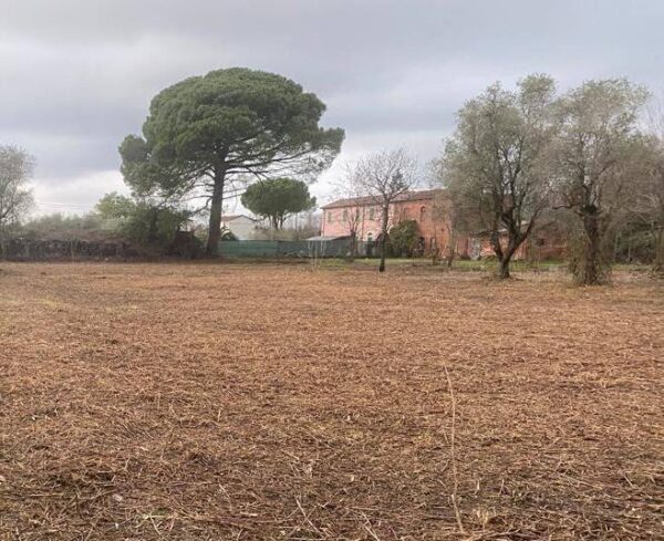 Immagine per Casale in vendita a Castelnuovo Magra via Tavolara 59