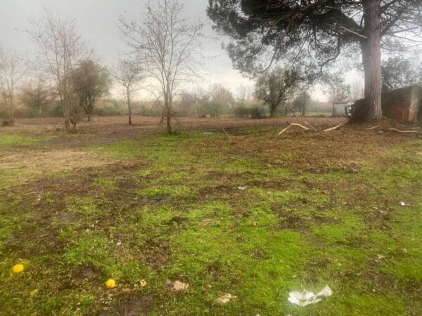 Immagine per Casale in vendita a Castelnuovo Magra via Tavolara 59