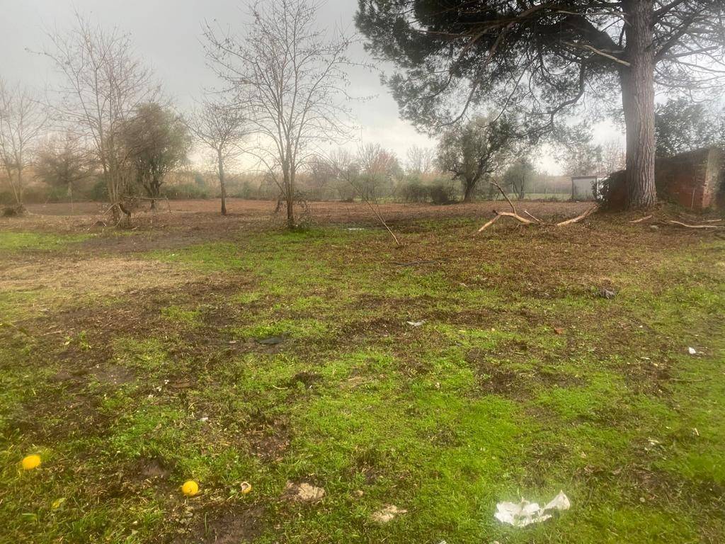 Immagine per Casale in vendita a Castelnuovo Magra via Tavolara 59