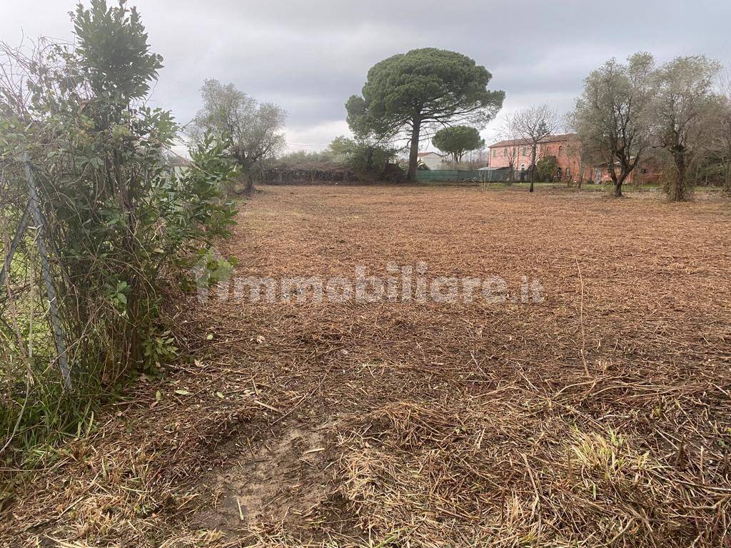 Immagine per Casale in vendita a Castelnuovo Magra via Tavolara 59