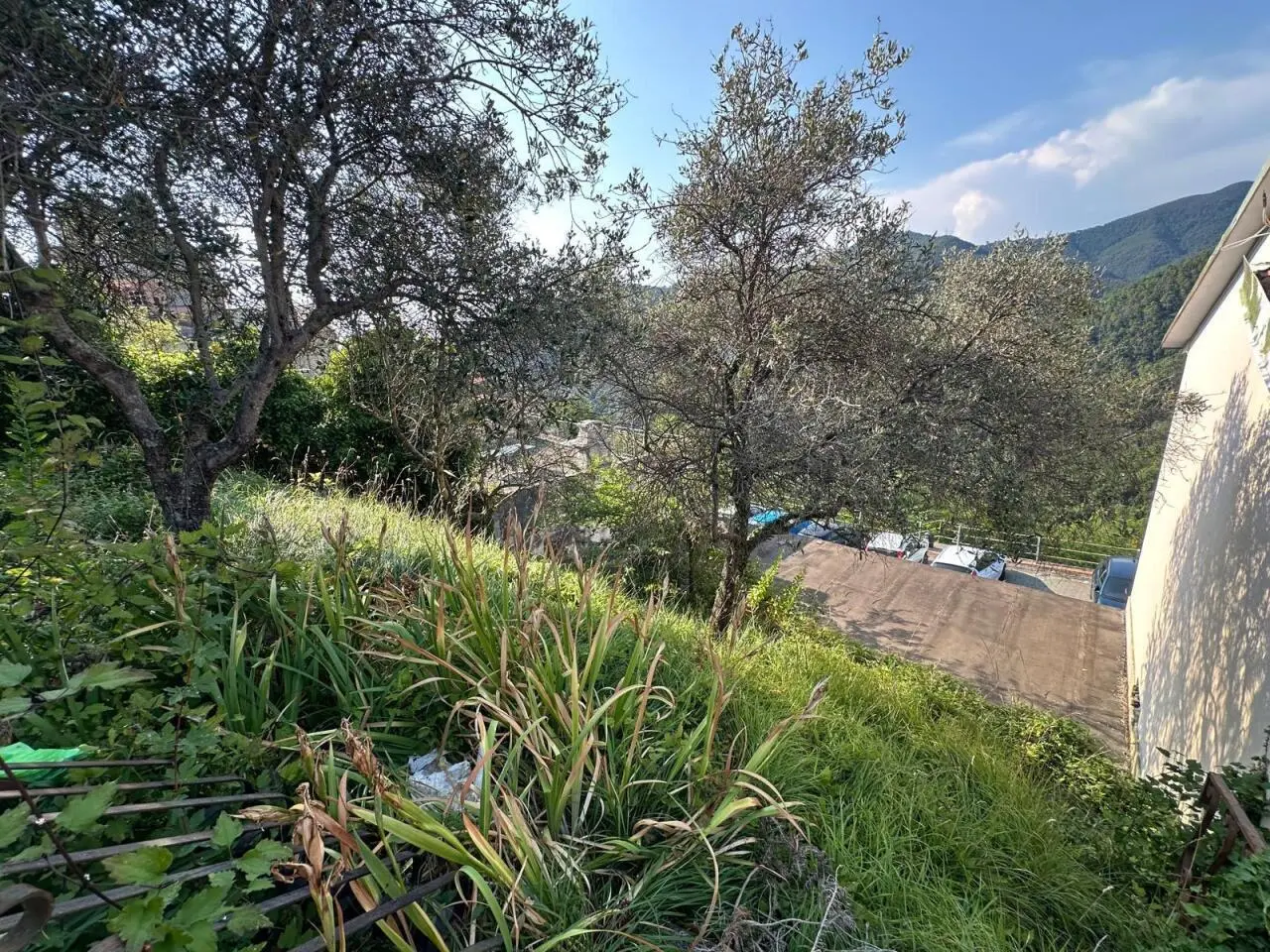 Immagine per Terratetto in vendita a Luni via Ortonovo