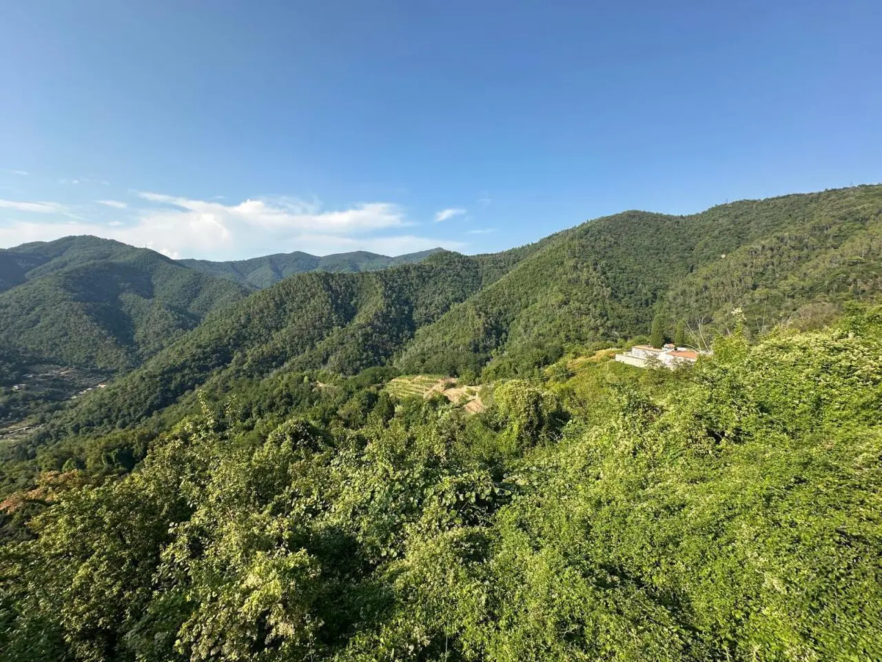 Immagine per Terratetto in vendita a Luni via Ortonovo