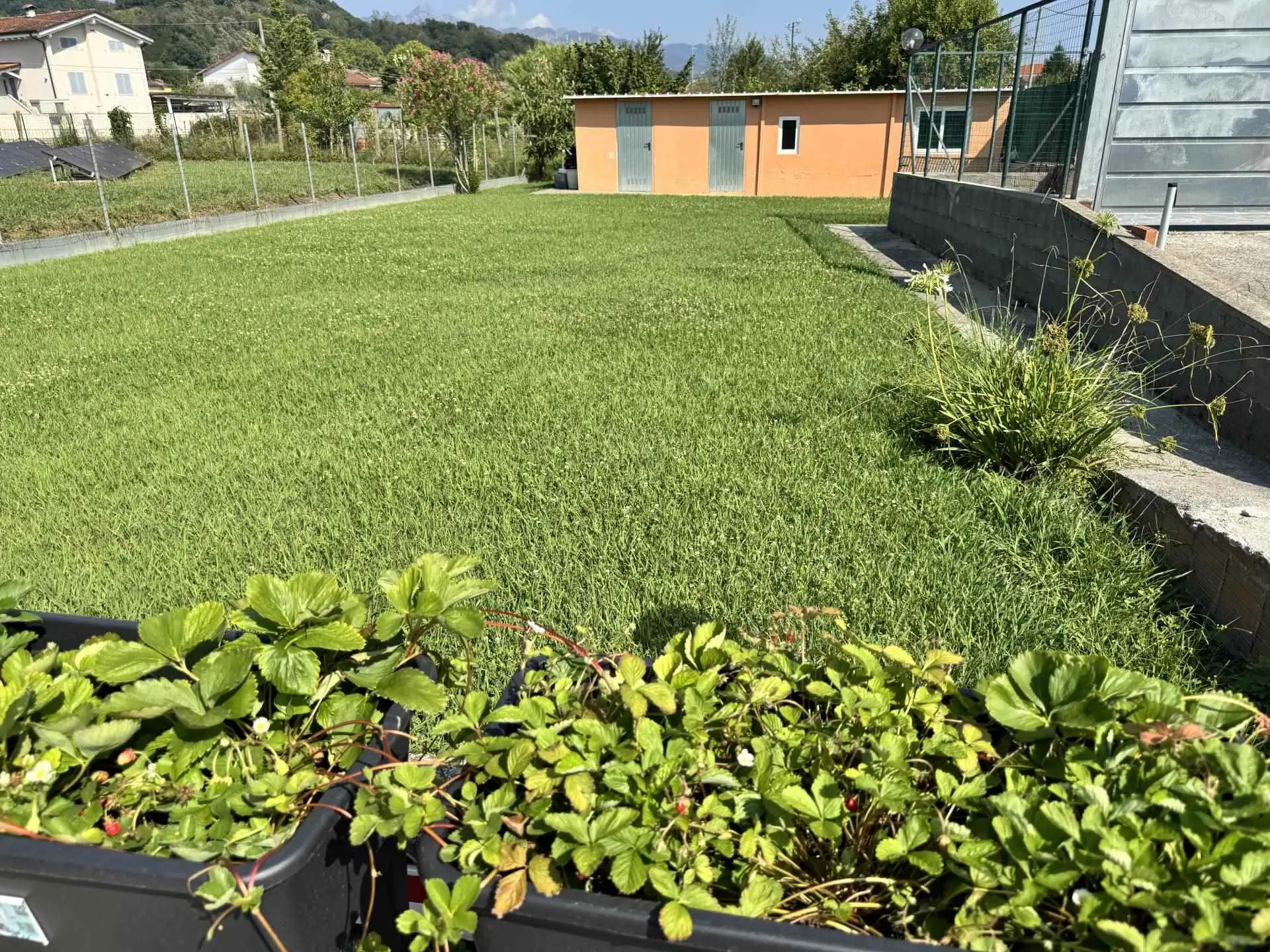 Immagine per Terratetto in vendita a Carrara via Cavaiola