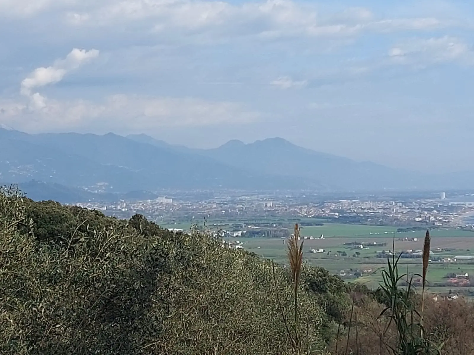 Immagine per Rustico in vendita a Ameglia via Caffaggio 10