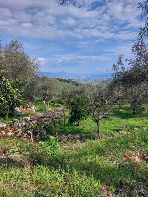 Immagine per Rustico in vendita a Ameglia via Caffaggio 10
