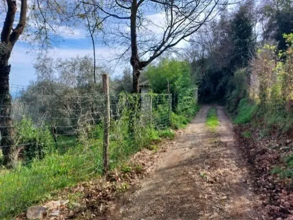 Rustico via Caffaggio 10, Ameglia