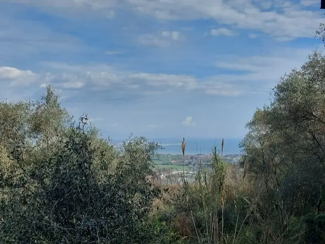 Immagine per Rustico in vendita a Ameglia via Caffaggio 10