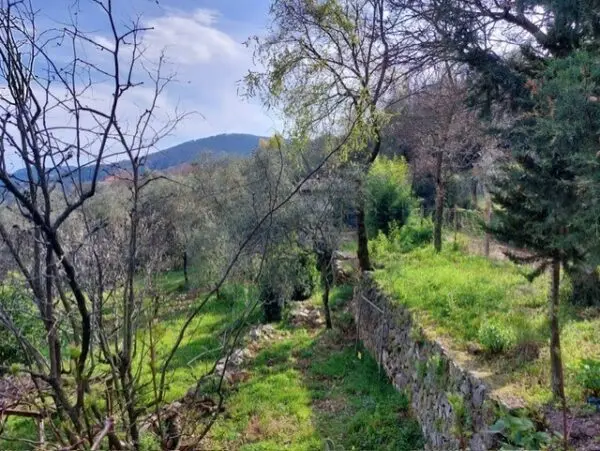 Rustico via Caffaggio 10, Ameglia