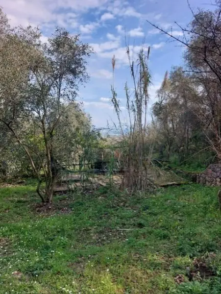 Rustico via Caffaggio 10, Ameglia