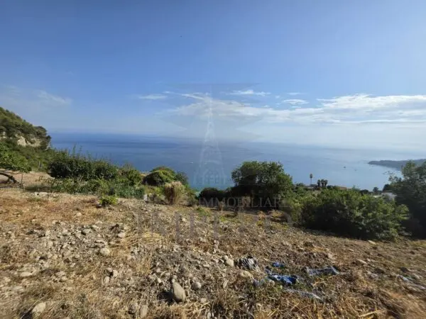 Terreno via Località Ville Superiori 30, Ventimiglia