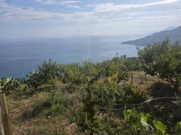 Terreno via Località Ville Superiori 30, Ventimiglia
