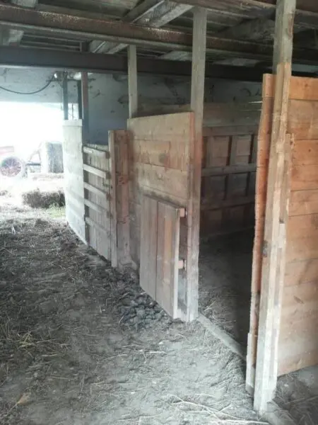 Terreno via Cannella, Mondavio
