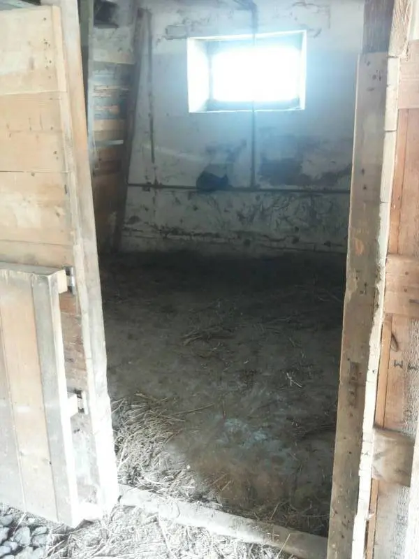 Immagine per Terreno in vendita a Mondavio via Cannella